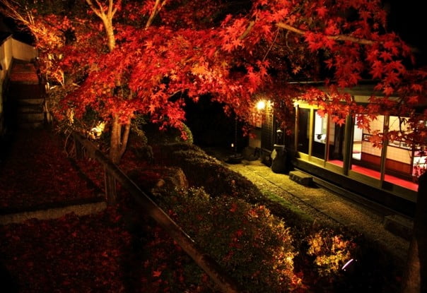 日光・星野家の日本庭園の「紅葉ライトアップ」の概要（入場料金：ライトアップ時間）